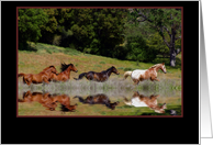 Running Free Horse Sympathy Card