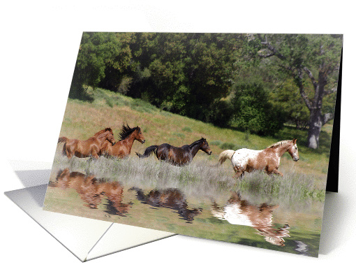 horses running free blank note card (920805)