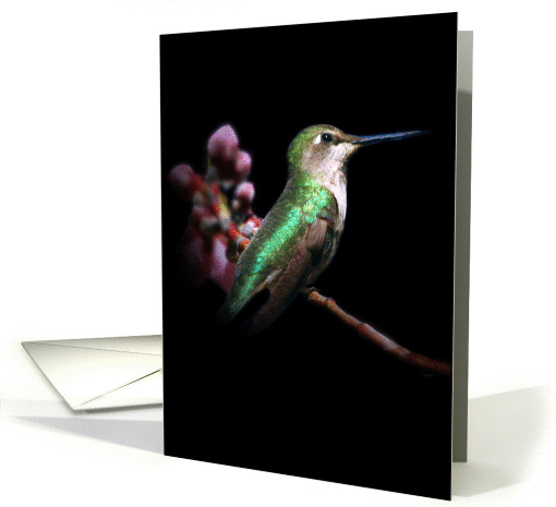 hummingbird thank you card (936338)