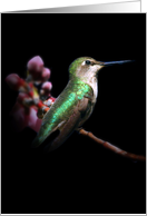 hummingbird thank you card