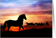 wild horses birthday card