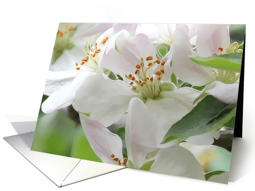 Flower thank you card (936513)