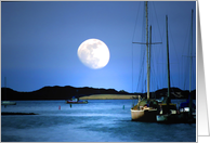 harbor moonlight...