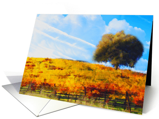 happy birthday vineyard card (937182)