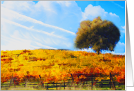 happy birthday vineyard card