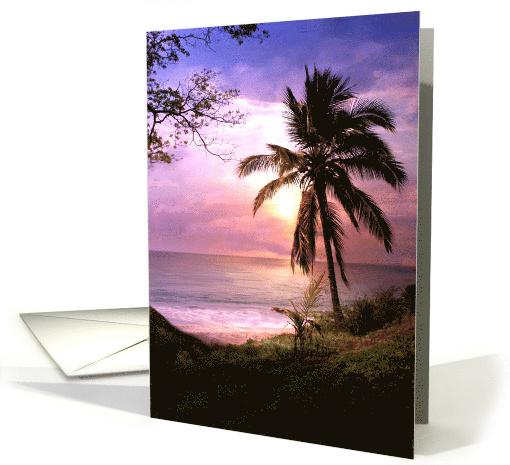 Thank You Tropical Island with Palm Tree Serene Sunset Pretty card