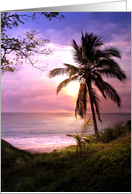 Thank You Tropical Island with Palm Tree Serene Sunset Pretty card