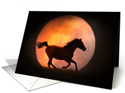 horse and moon birthday greeting card (943828)