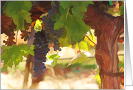 vineyard grapes thank you card