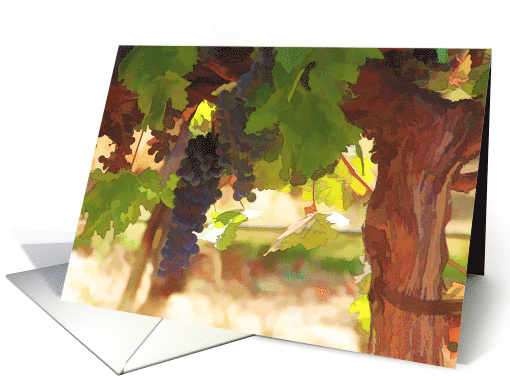 vineyard grapes happy birthday card (974189)