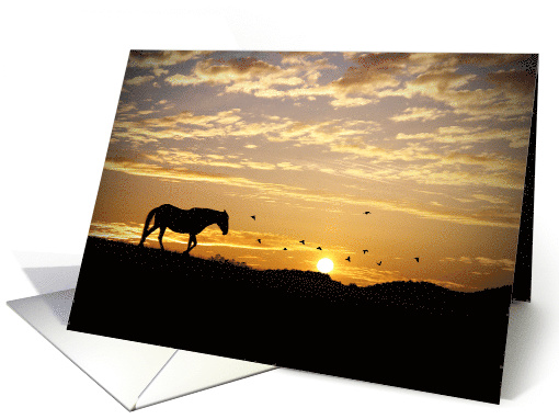 Sympathy for loss of horse, horse in sunset card (975507)