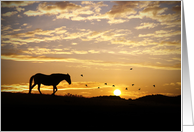Sympathy, Silhouetted Horse and Birds in Sunset card