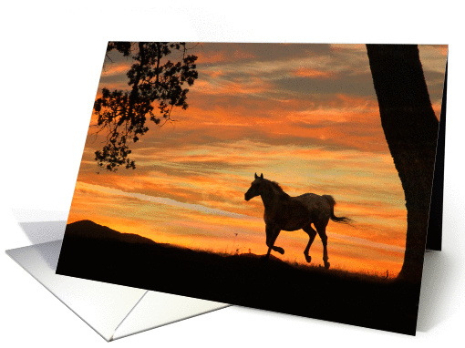 Running Horse in the Sunset Loss of Horse Sympathy card (975531)