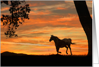 Running Horse in the Sunset Loss of Horse Sympathy card