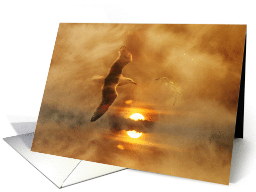 Thank you for your sympathy seagulls at sunset card (975535)