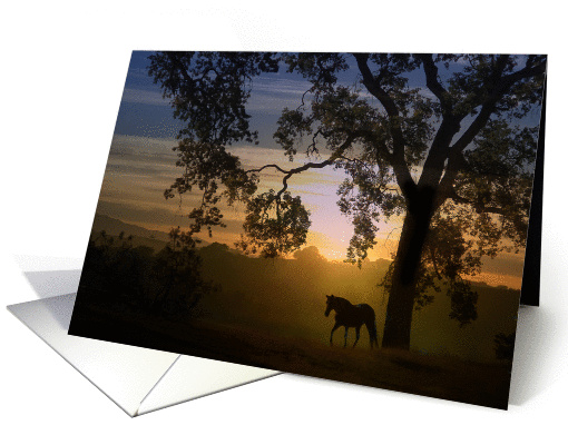 loss of horse sympathy horse with oak tree card (975585)