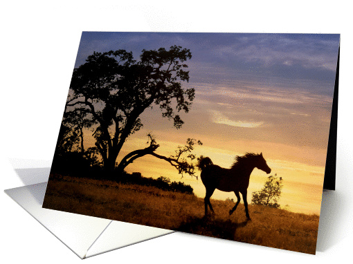 Loss of Horse Oak Tree and Sunset card (976969)