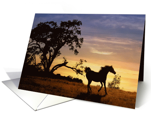 Thinking of you Sunset and Horse Running in Pasture card (976981)