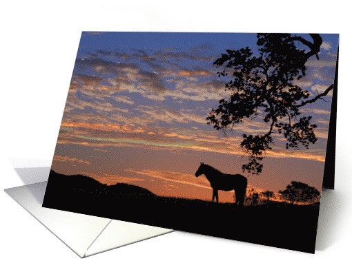 Pretty Thinking of You Horse and Sunset card (976985)