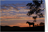 Sympathy Card for the Loss of A Horse card