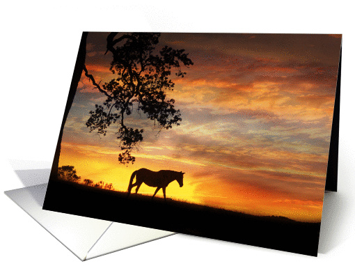 encouragement horse in sunset card (977041)