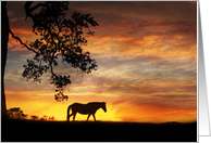 encouragement horse in sunset card