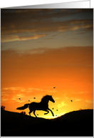 Horse in Sunset with Birds Sympathy card