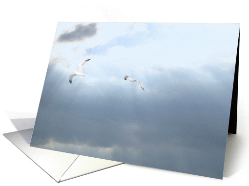 thank you for the sympathy condolences seagulls in the sky card
