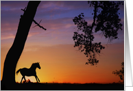 Sympathy Card for Loss Of Horse, Horse Running in the Sunset card