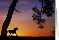 Horse Thinking of You, Running Horse in Southwestern Sunset card