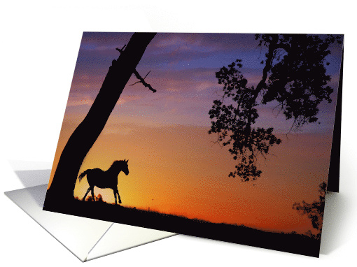sympathy card horse running in sunset card (986539)
