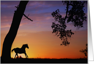 sympathy card horse running in sunset card