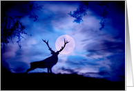 Elk and Moon Christmas Greeting card