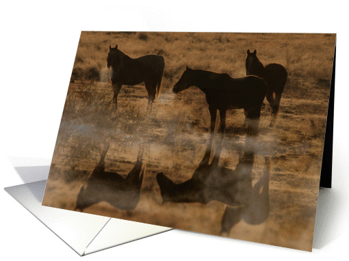 Equine Sympathy card (986863)