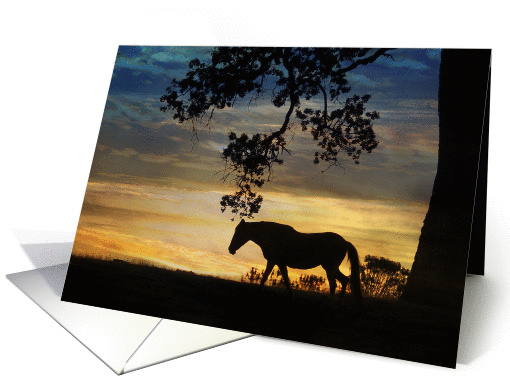 Loss of horse sympathy card (986867)