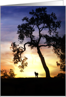 thank you for your sympathy silhouetted oak tree and horse in sunset card