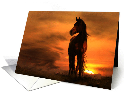 loss of horse sympathy horse in sunset card (986995)