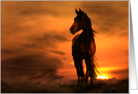 loss of horse sympathy horse in sunset card