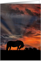 With Deepest Sympathy, Horse and Sunset card