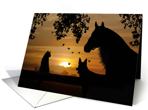 sympathy card for veterinarians horse cat dog sunset card (987663)