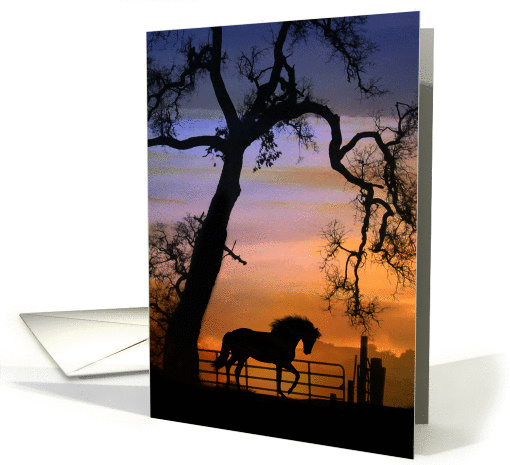 Happy Birthday, Horse Silhouette Under Oak Tree card (990433)