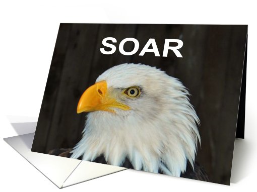 SOAR card (548377)