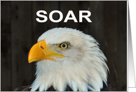 SOAR card