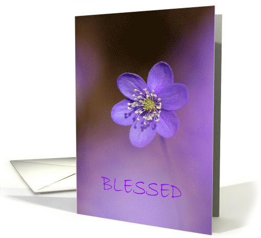 BLESSED FRIENDSHIP card (563541)