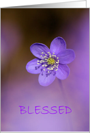 BLESSED FRIENDSHIP card