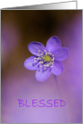 BLESSED FRIENDSHIP card