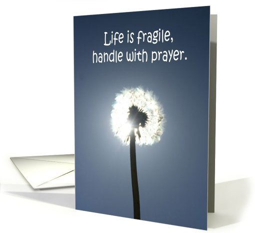 Life Is Fragile card (567579)