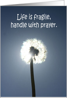 Life Is Fragile