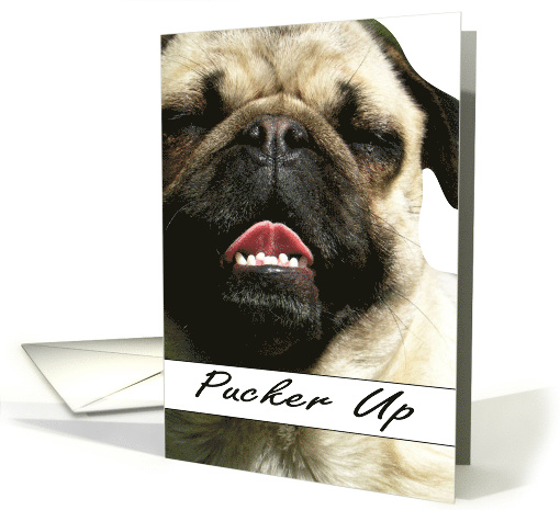 Kiss - Pucker Up
 card (595317)