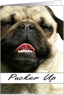Kiss - Pucker Up card